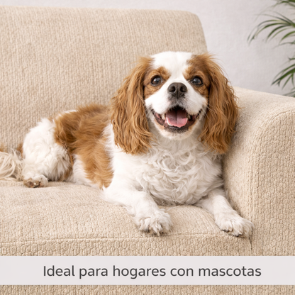 SofaCover™ 3 Cuerpos - Renueva tu sofá en minutos, sin cambiarlo.