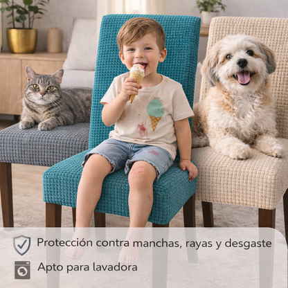 SeatCover™ Pack 6 Fundas - Renueva tu comedor en minutos, sin cambiarlo